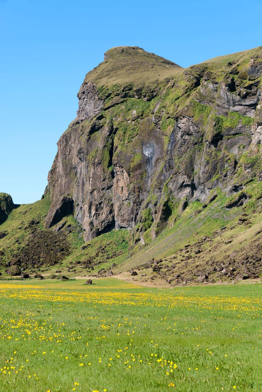 Rock hanging over a field of yellow flowers