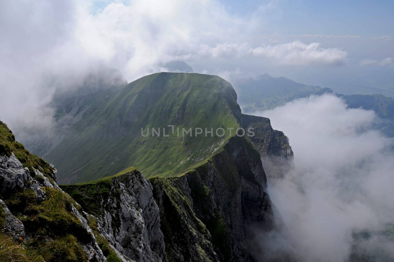 Mist