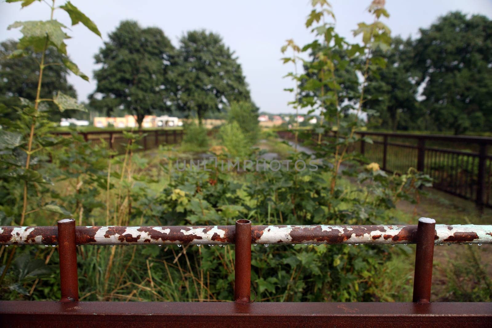 Border bridge