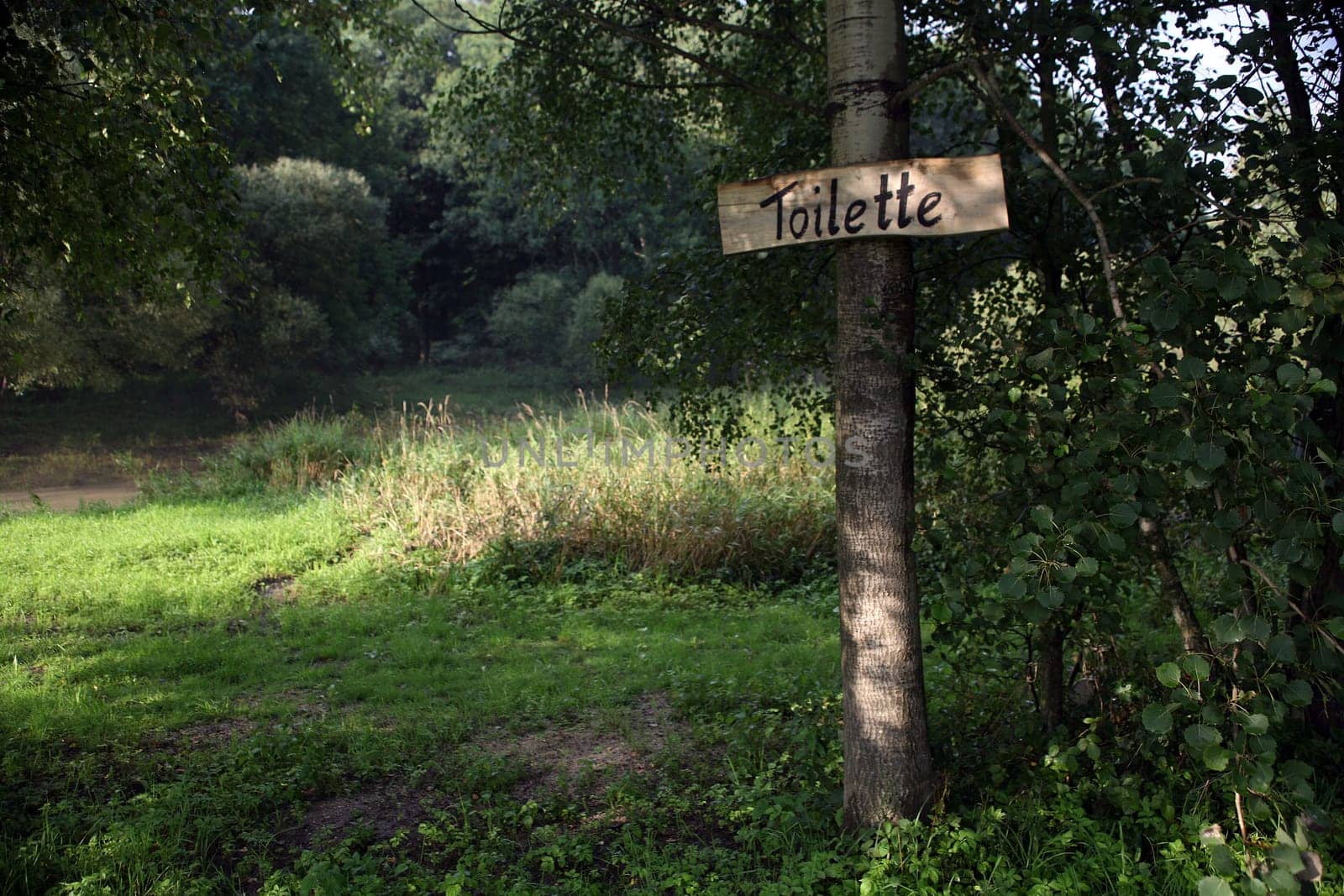 toilet,forest,nature,outdoors,note,tree,sign,meadow,symbol,summer,sun,excursion,irony,ironic