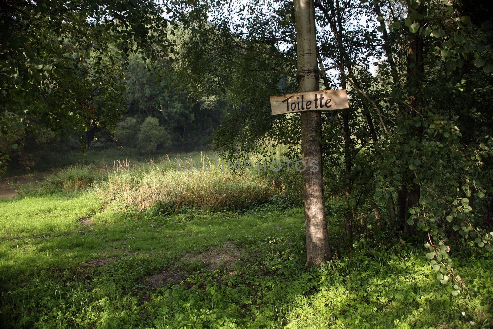 toilet,forest,nature,outdoors,note,tree,sign,meadow,symbol,summer,sun,excursion,irony,ironic