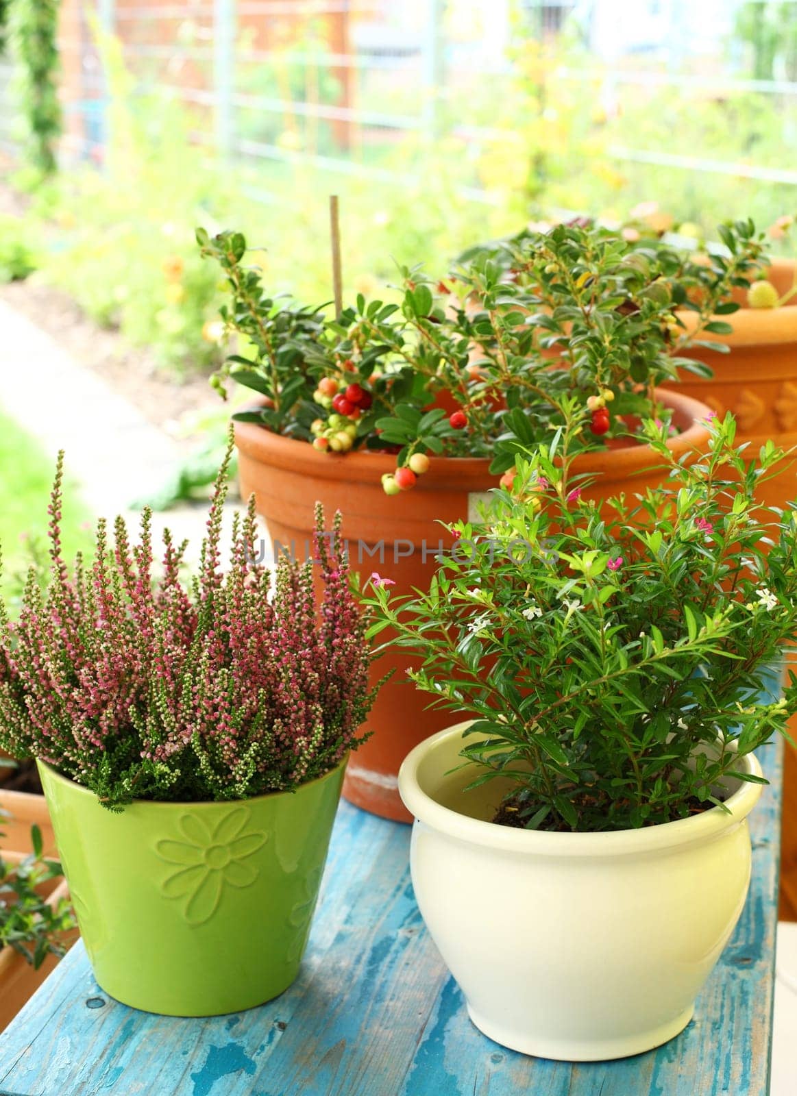 Outdoor flower pots for small garden, patio or terrace