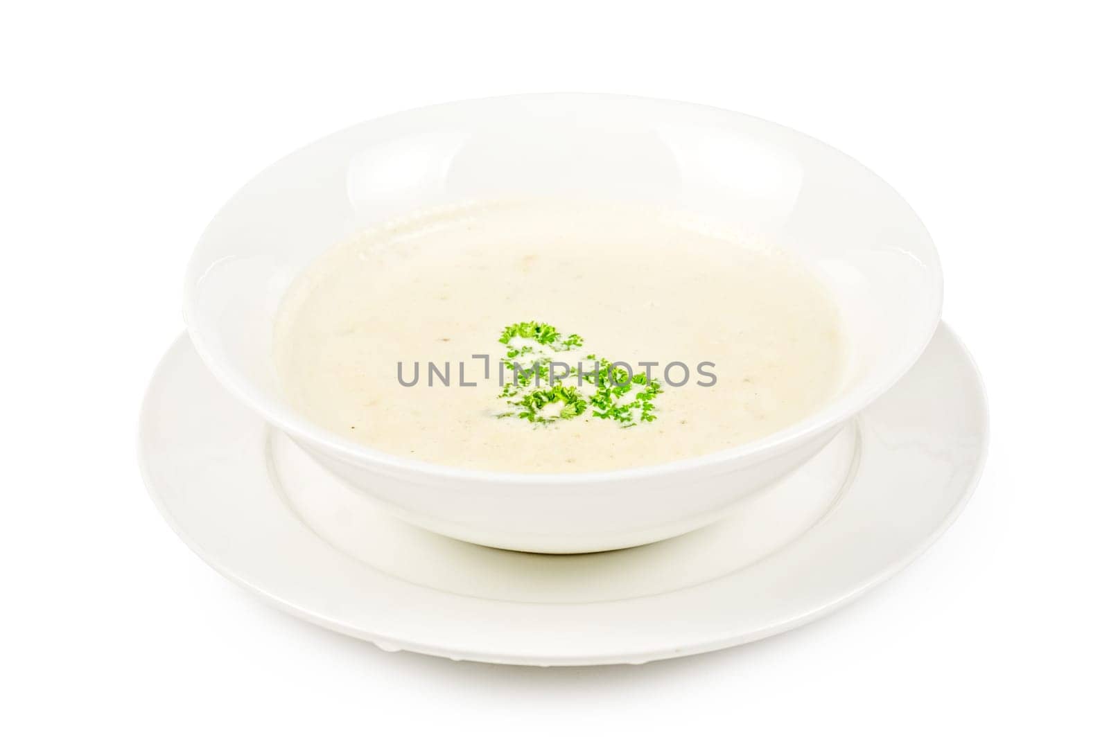 cream of mushroom isolated on a white background