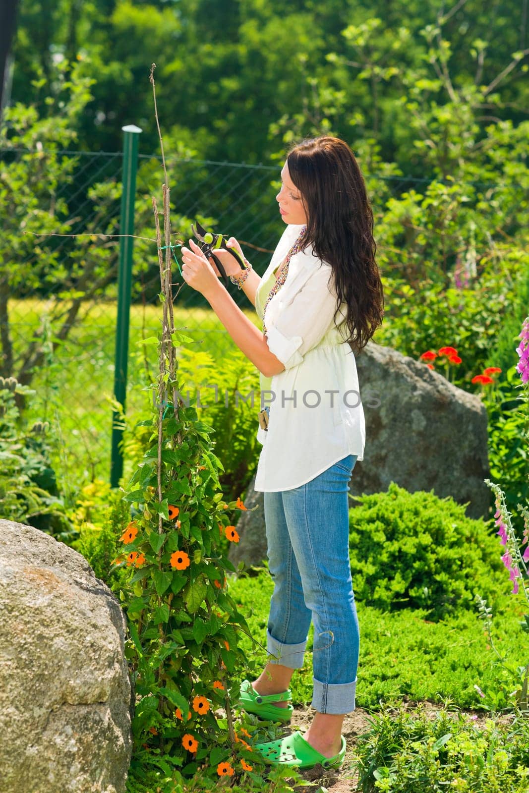 Summer gardening young woman cutting flower on beautiful sunny day