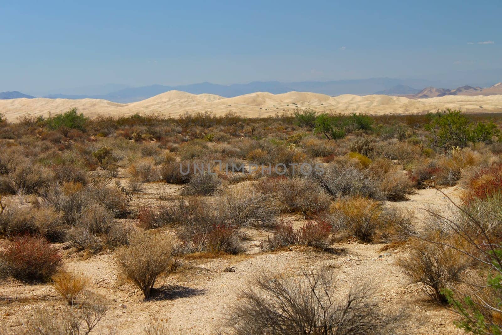 View of the Kelso Dunes at Mojave National Preserve of California.