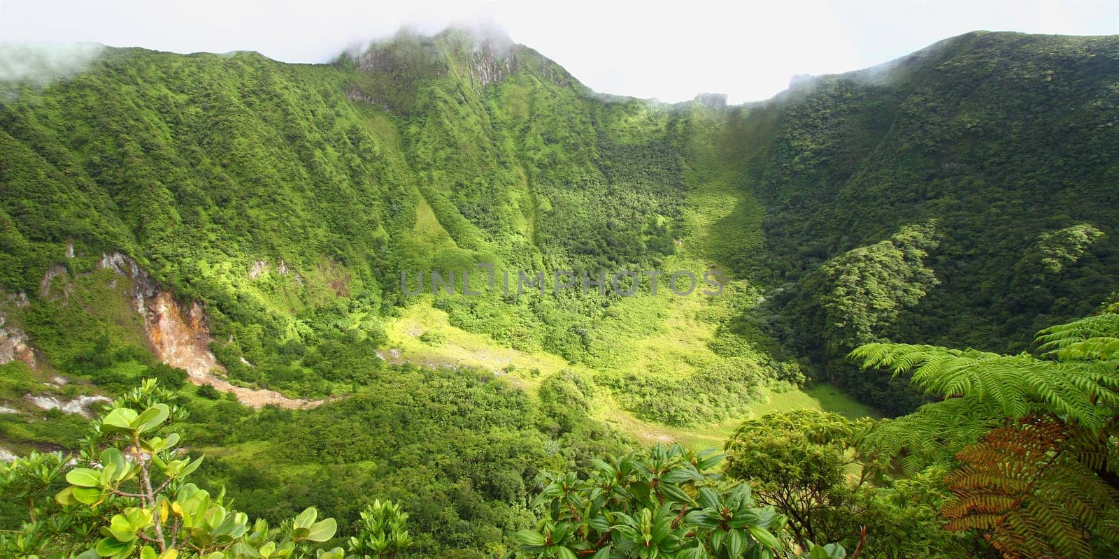 The Crater below cloud covered Mount Liamuiga on Saint Kitts.