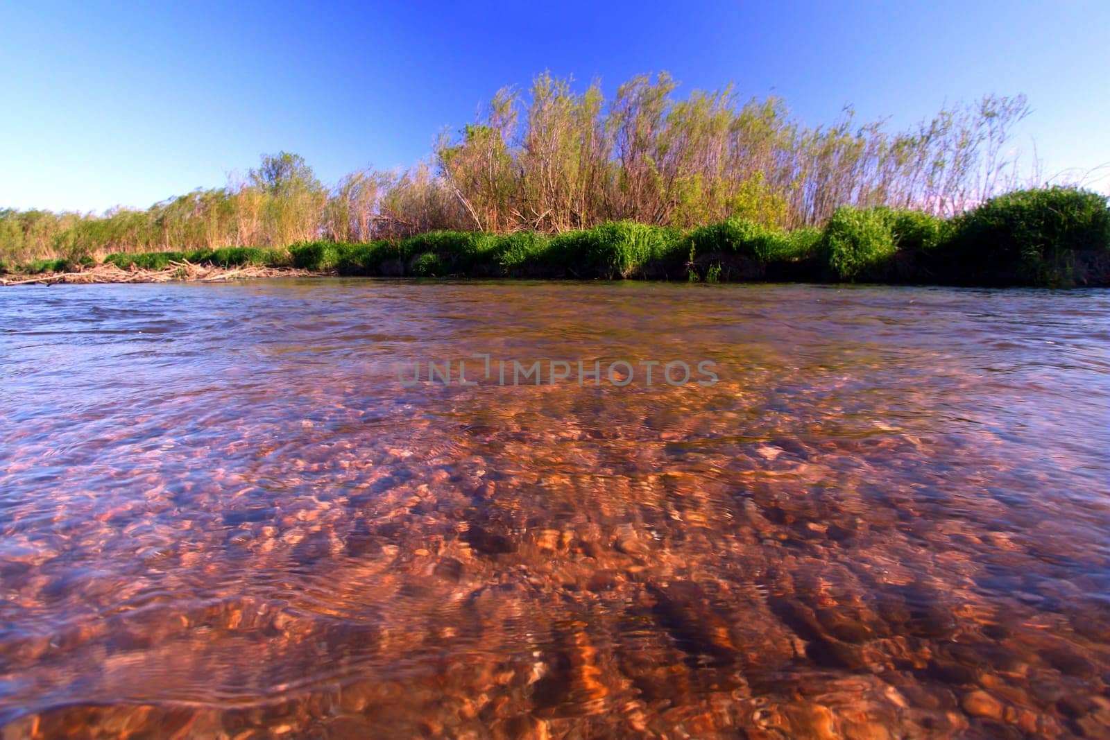 Beautiful springtime view of Piscasaw Creek in northern Illinois.