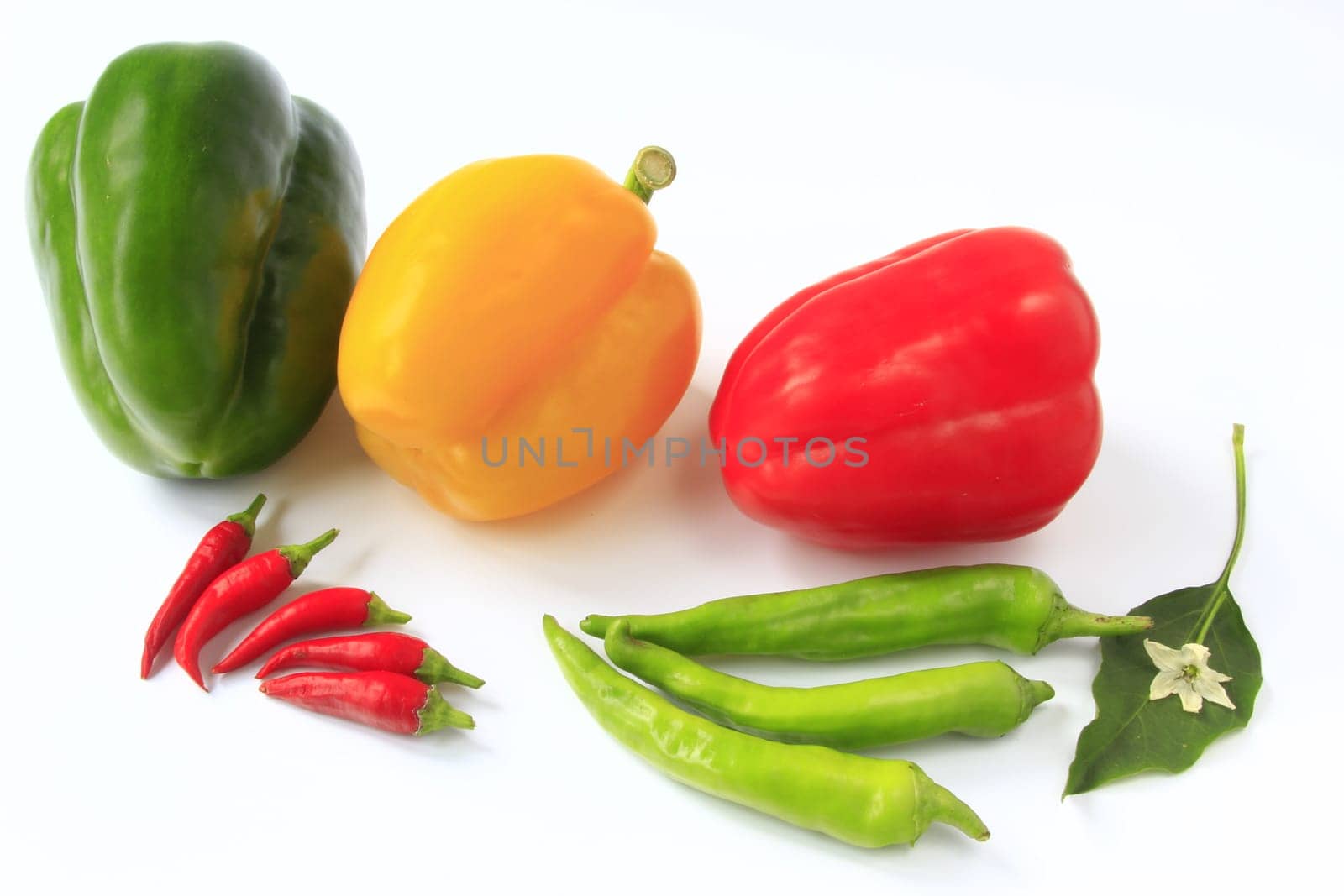 Different colored peppers isolated against neutral background