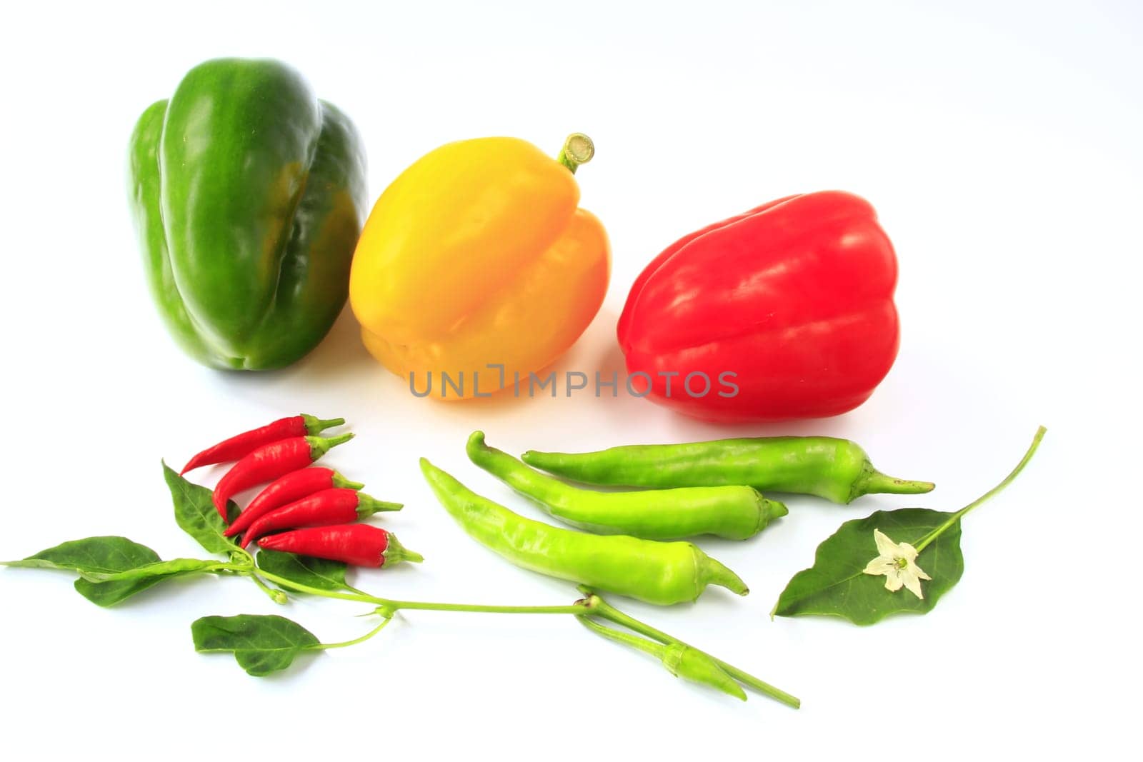 Different colored peppers isolated against neutral background