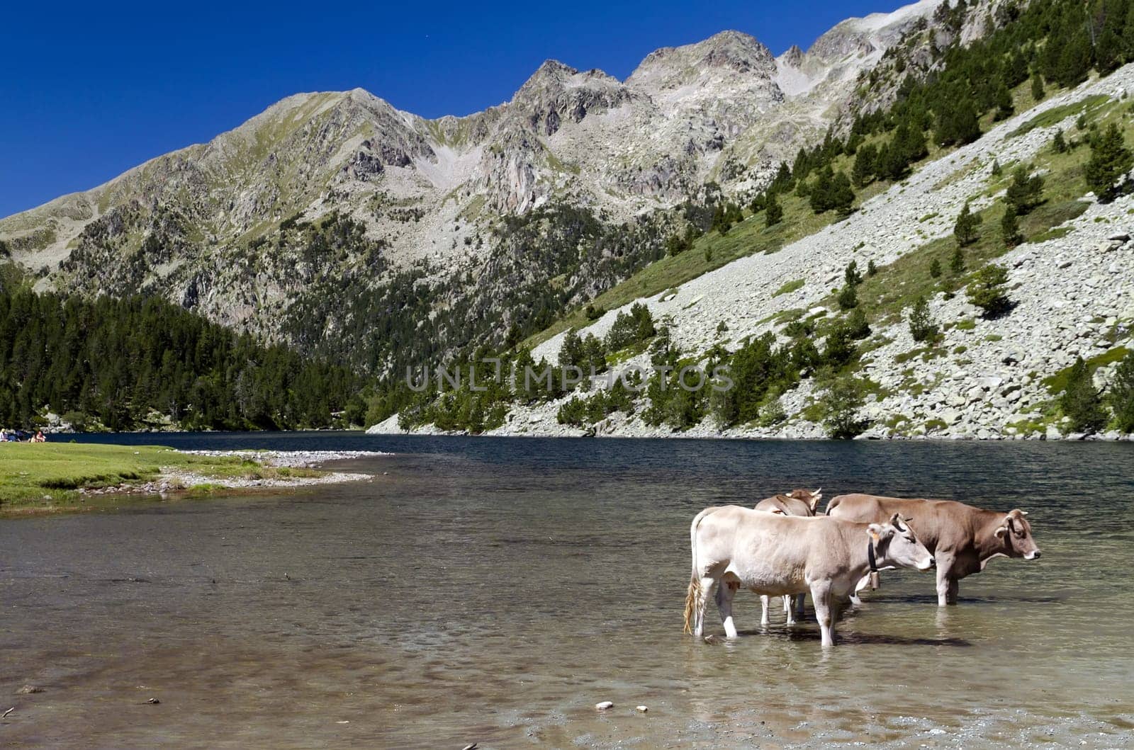Lake National Park Aiguestortes Estany Llong to 2000 m. high