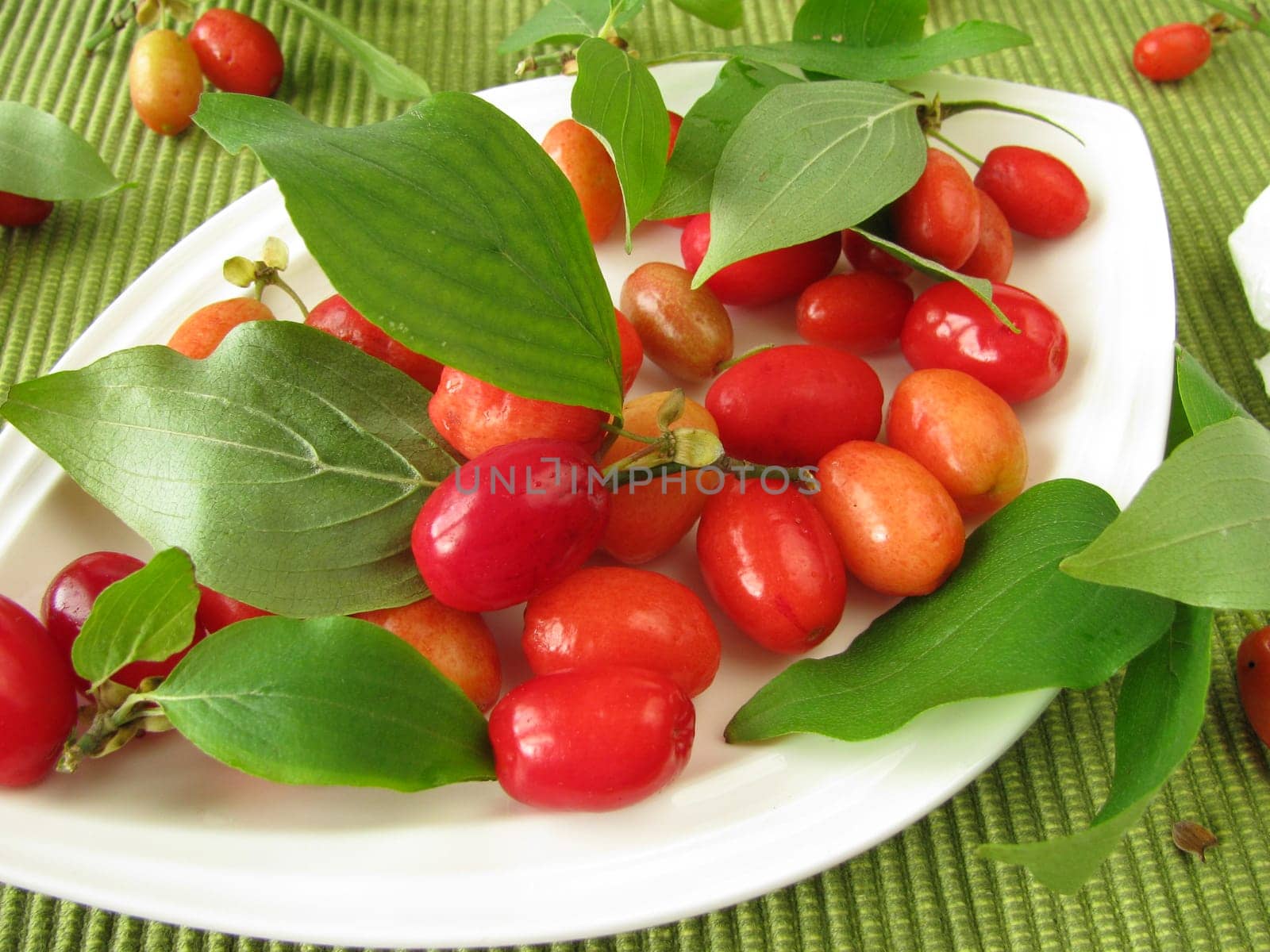 Cornelian cherries