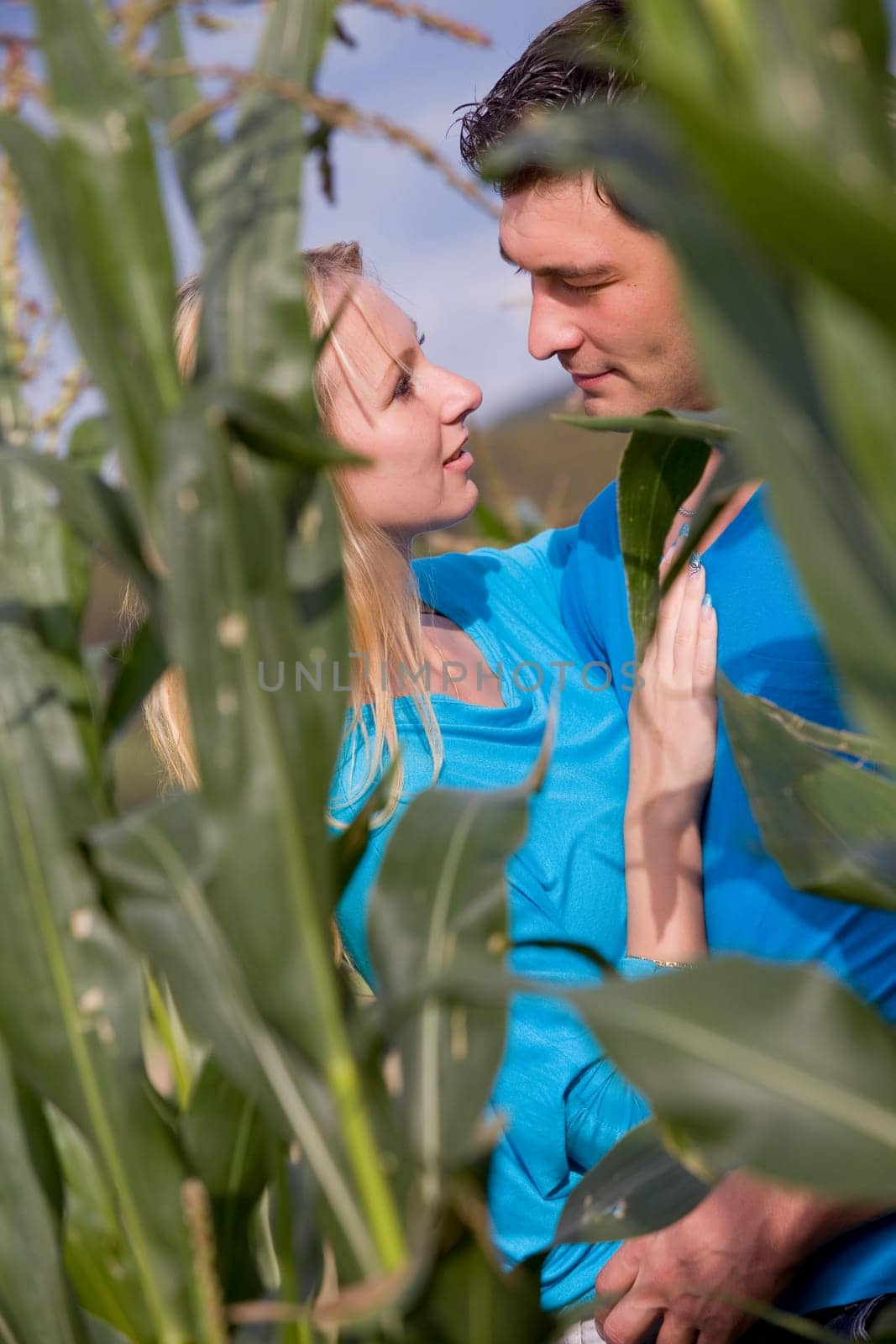 loving and embracing couple in corn field