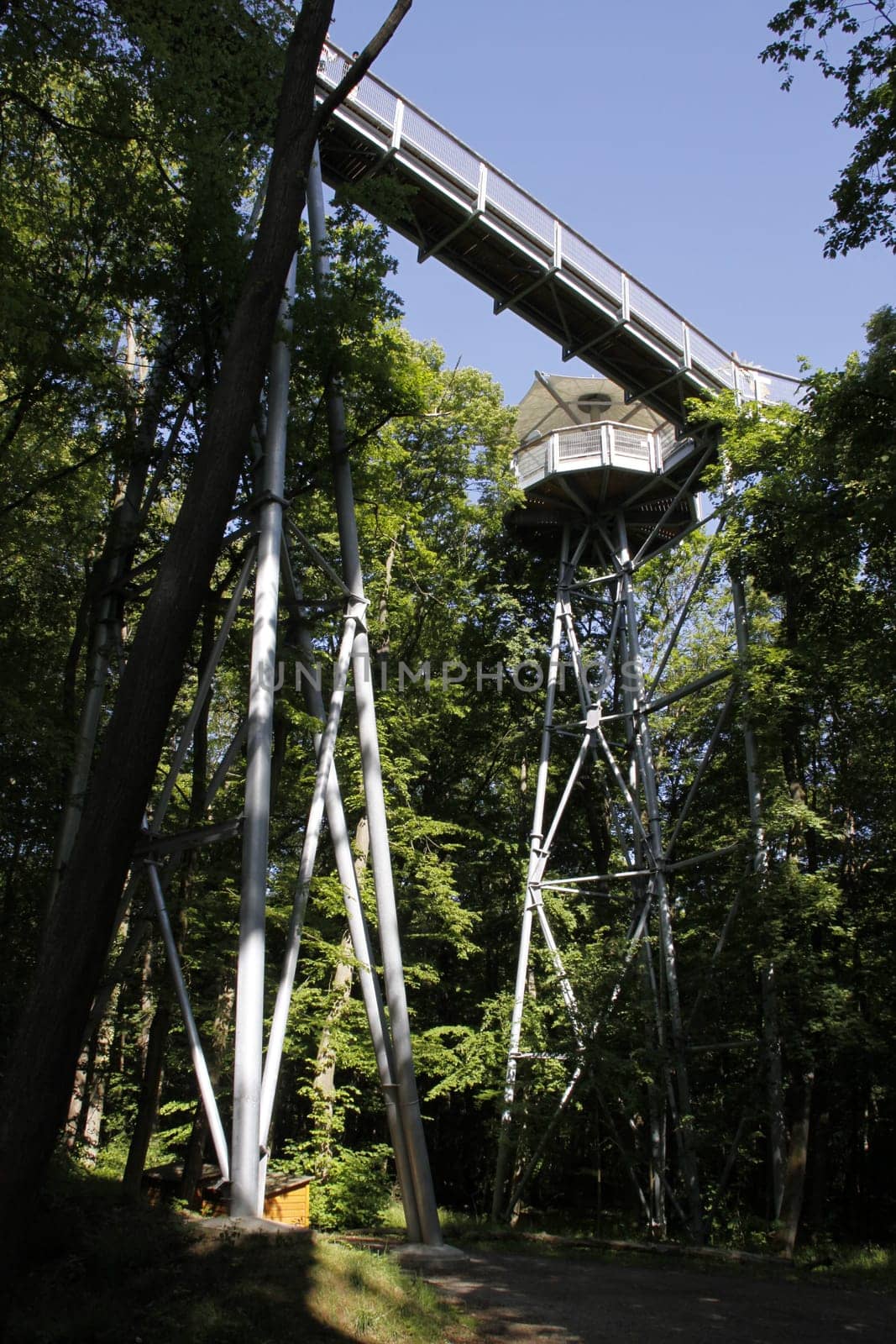 Treetop Walk in Hainich National Park