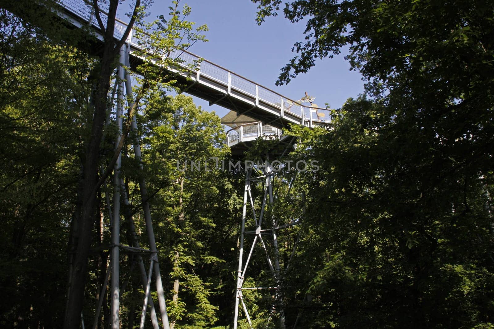 Treetop Walk in Hainich National Park