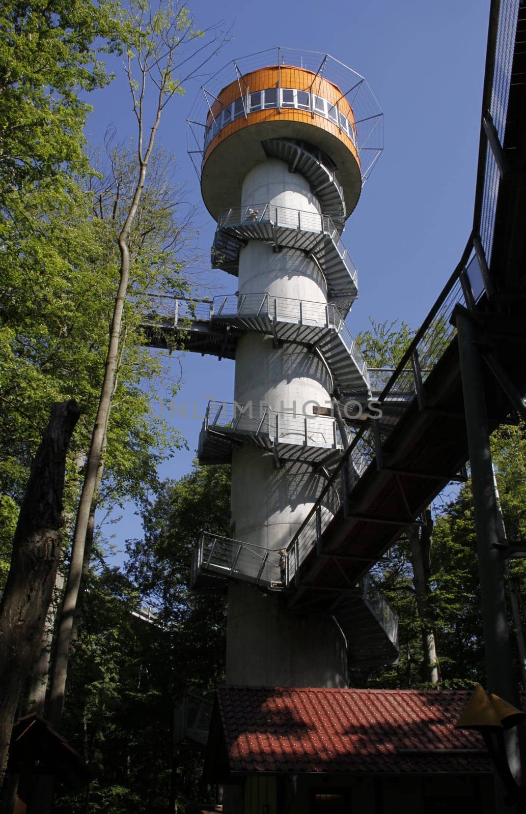 Treetop Walk in Hainich National Park