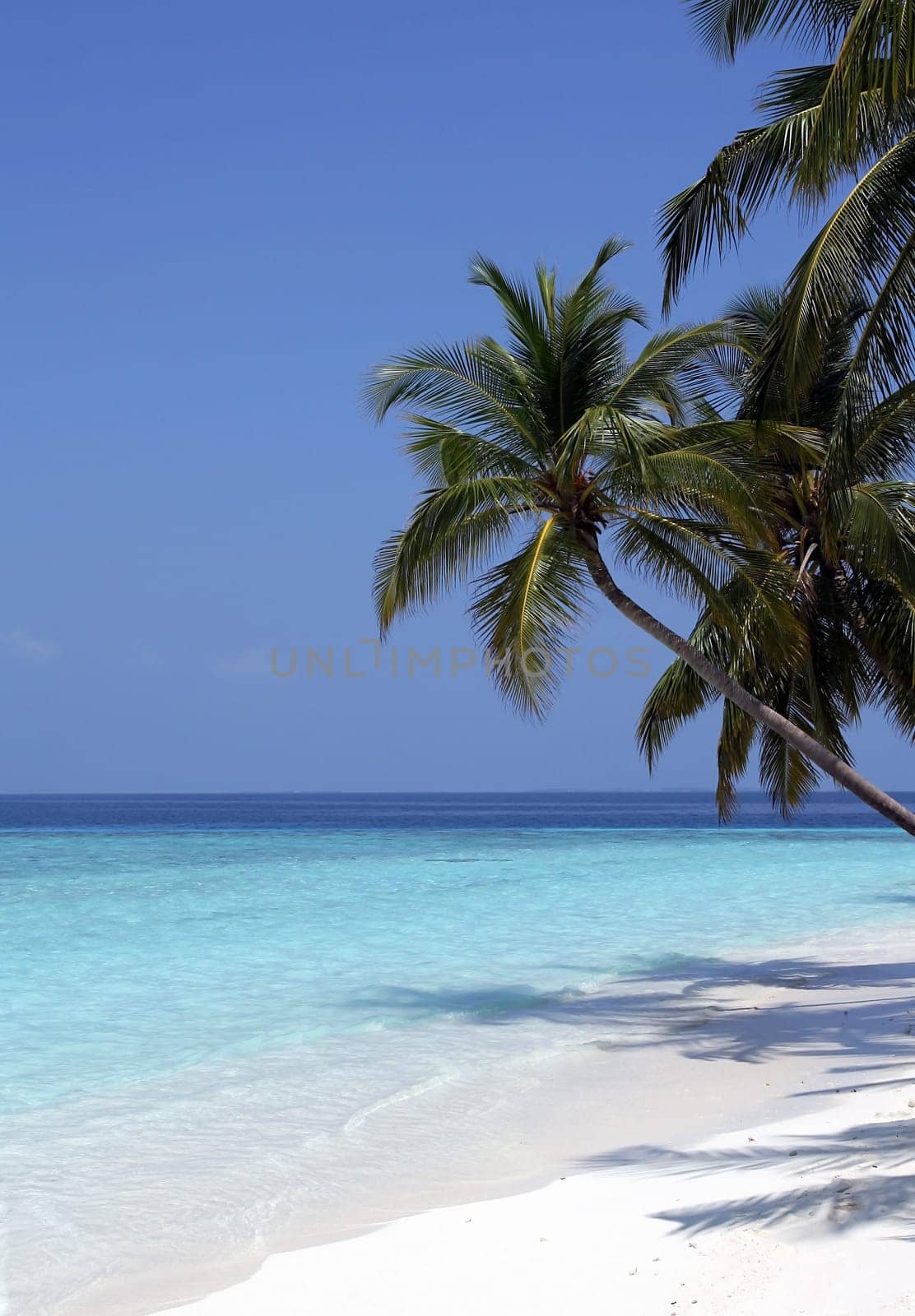 A beautiful dream beach in the Maldives