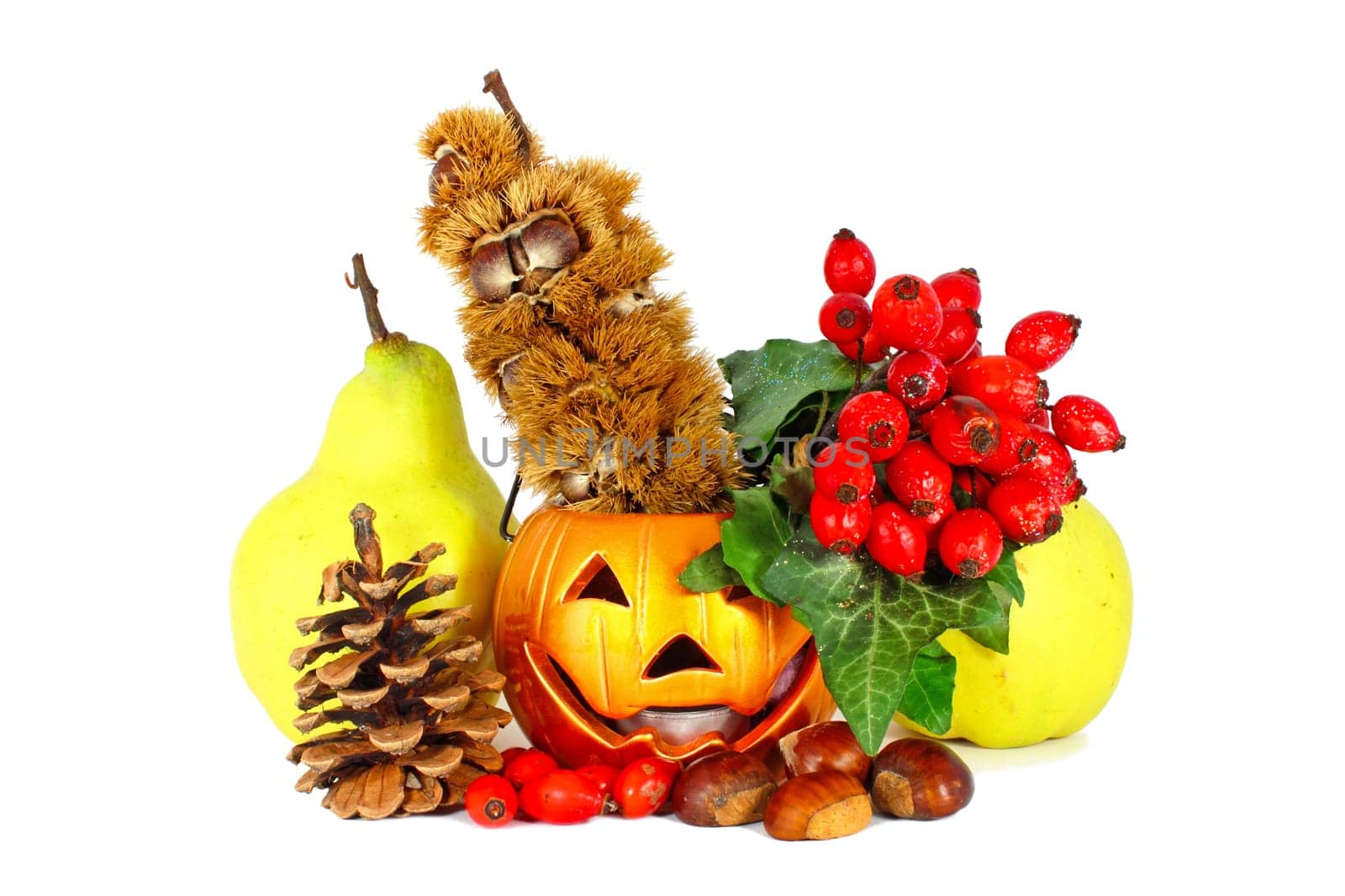 Some colorful autumn fruits with little lamp isolated on white
