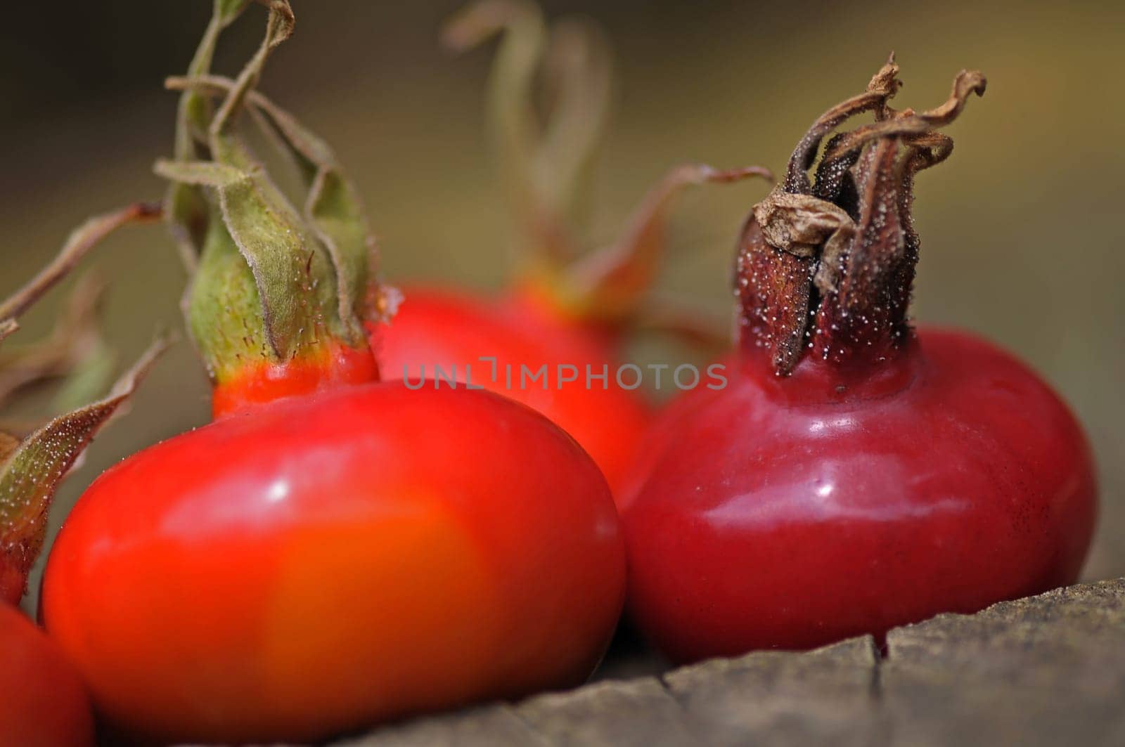 Haws