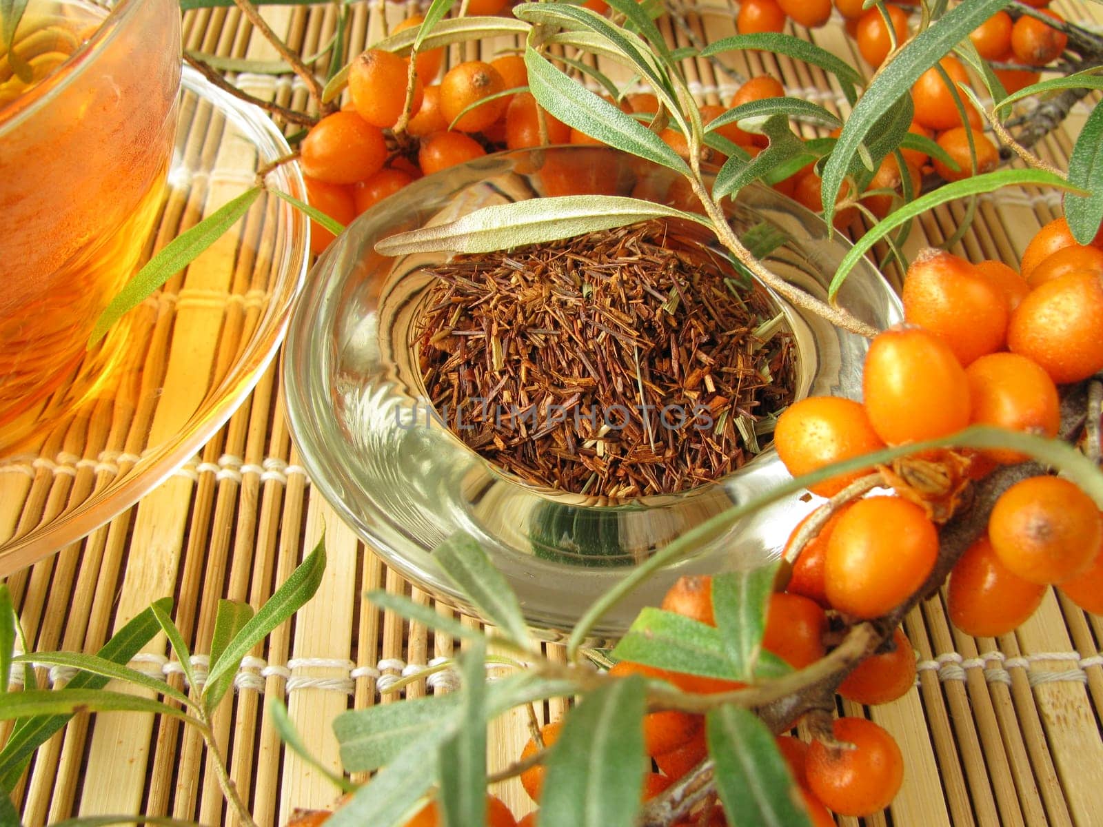 Rooibos tea with sea buckthorn