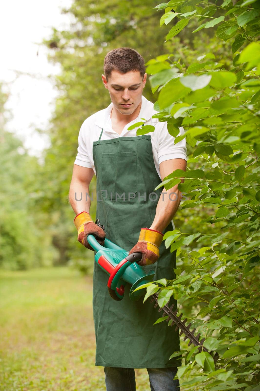 Young gardener with a hedge trimmer