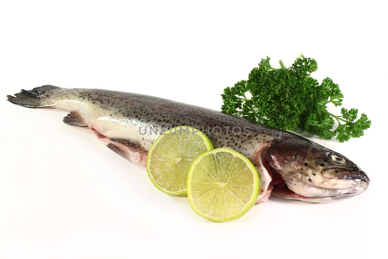 a raw trout against a white background