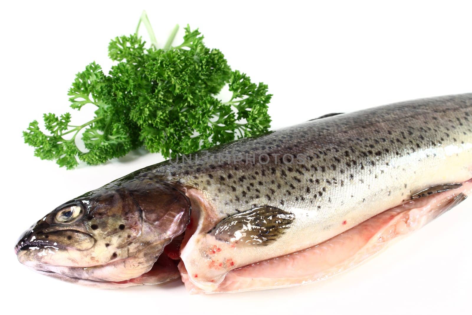 a raw trout against a white background