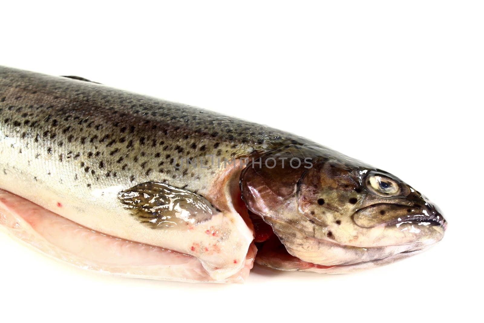 a raw trout against a white background