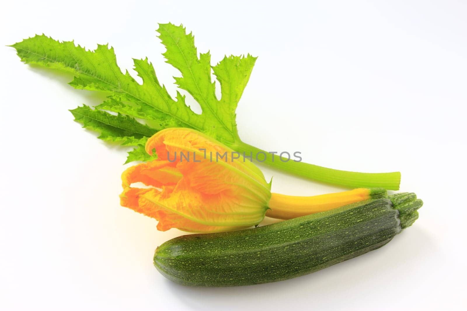 Zucchini with flower and leaf,cut out