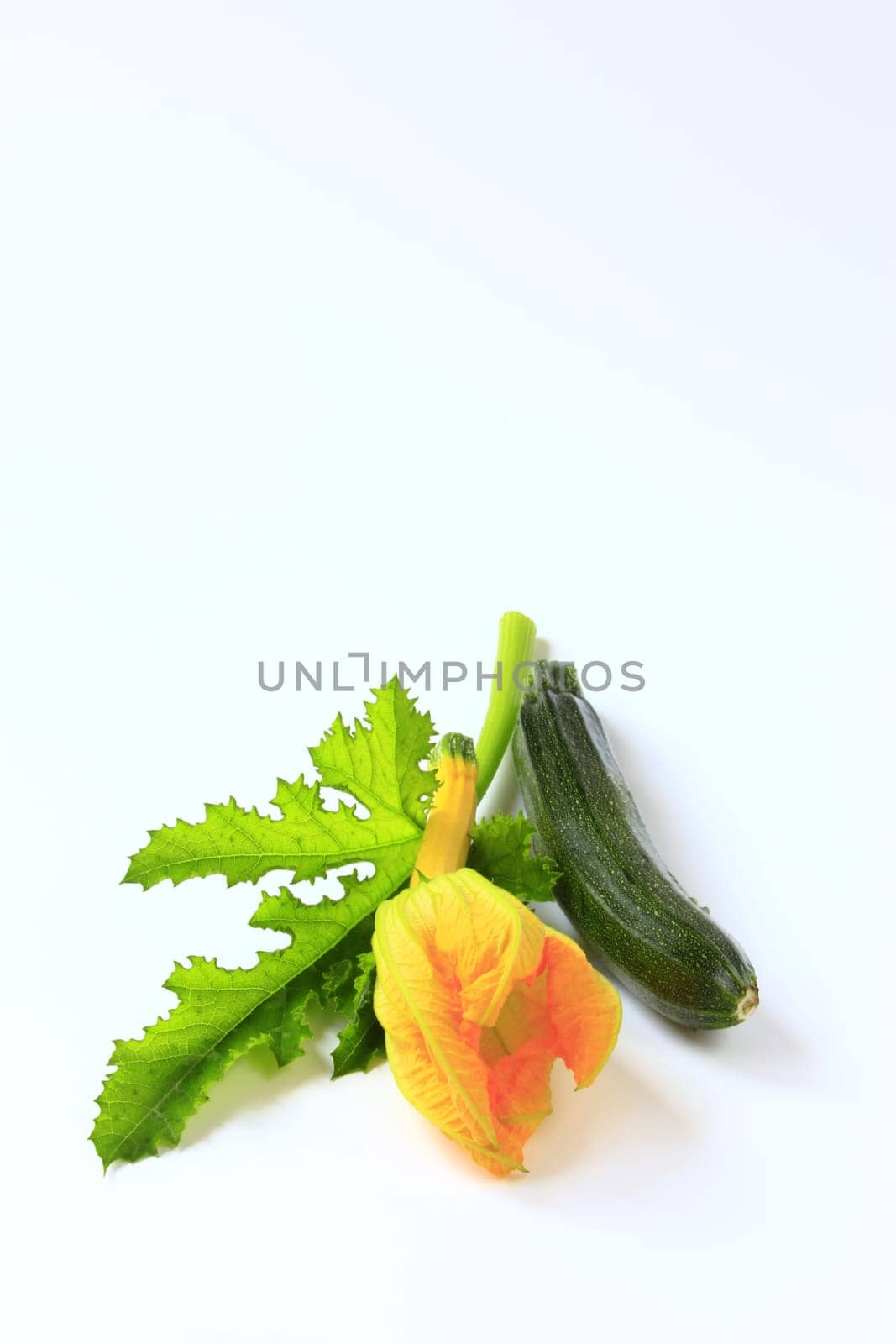 Zucchini with flower and leaf,cut out