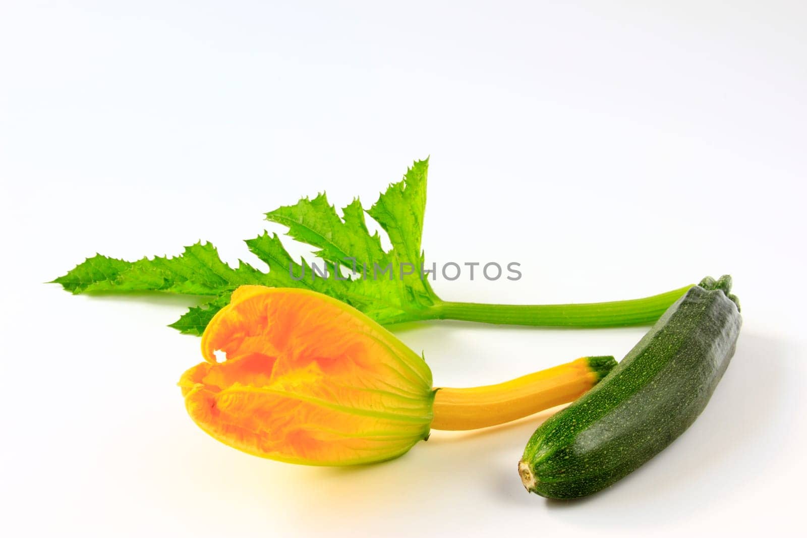 Zucchini with flower and leaf,cut out