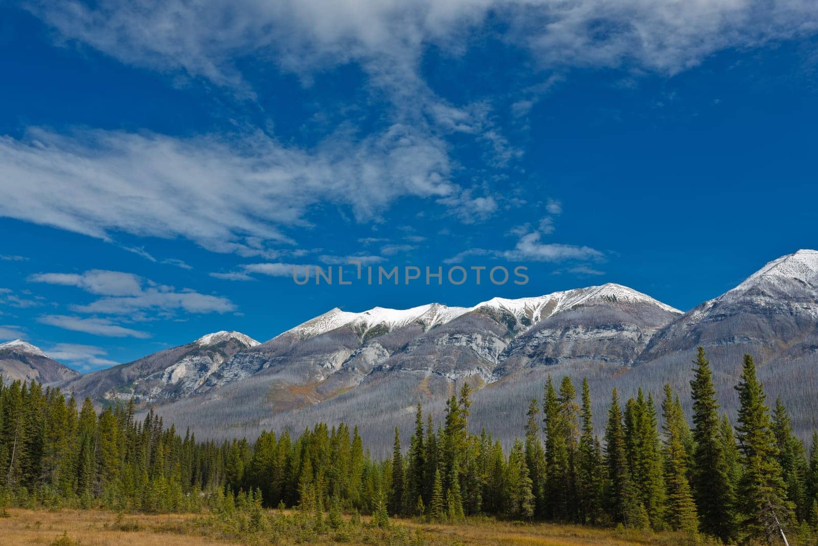 Mitchell Range, Kootenay National Park, British Columbia, Canada