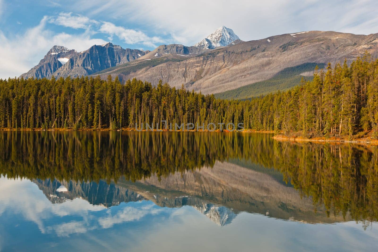 Reflections of Mount Fryatt and Whirlpool Peak over Leach Lake, Jasper National Park, Alberta, Canada