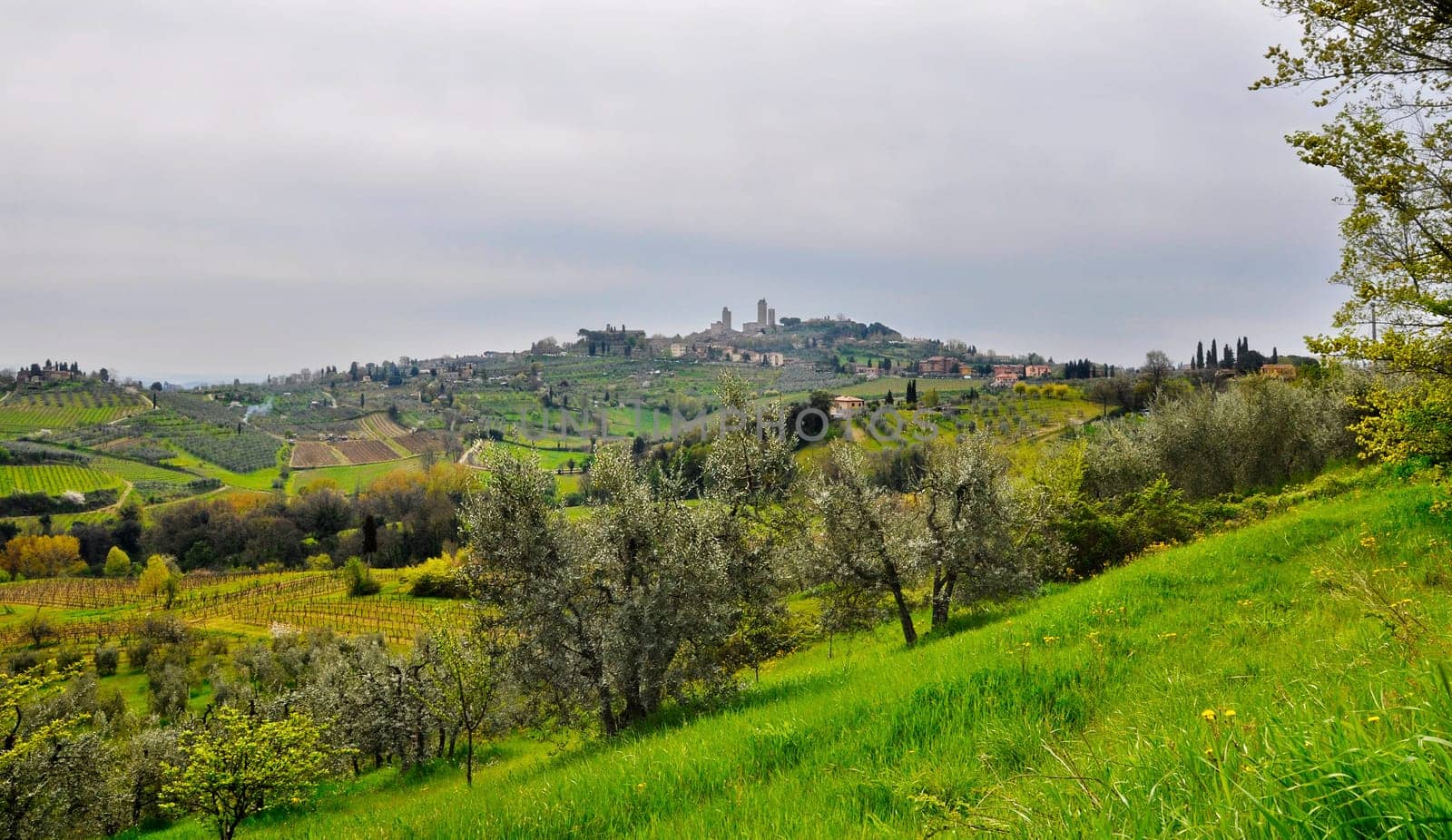 Tuscany landscape in spring, San Gimignano on the horizon