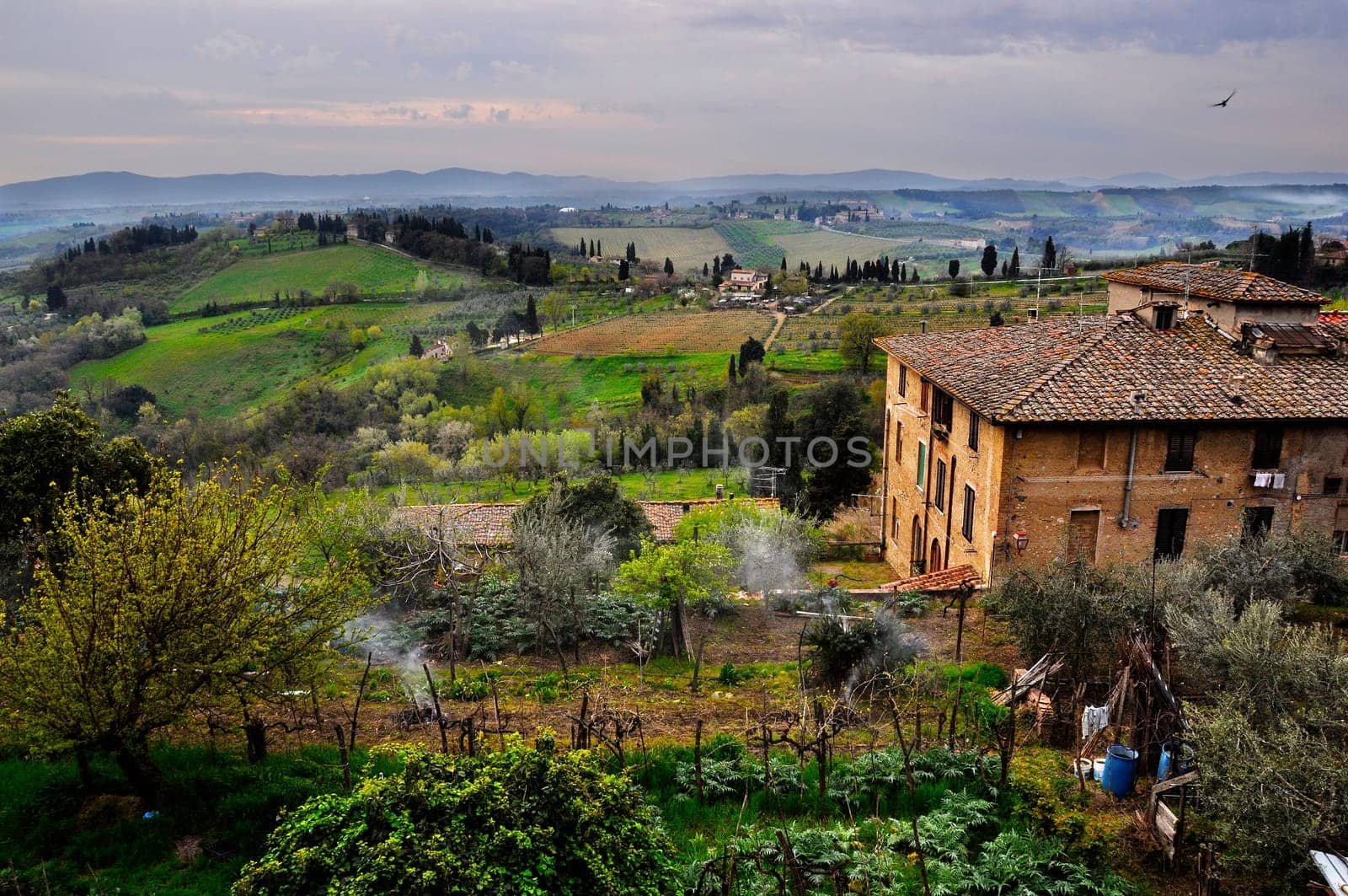 Typical Tuscany landscape in spring