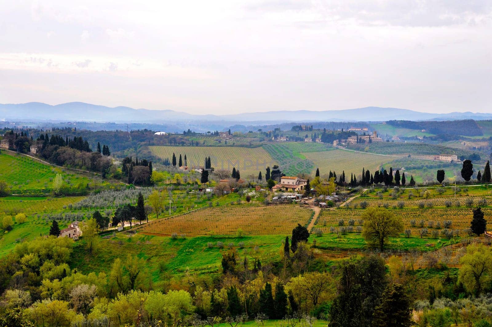 Typical Tuscany landscape in spring