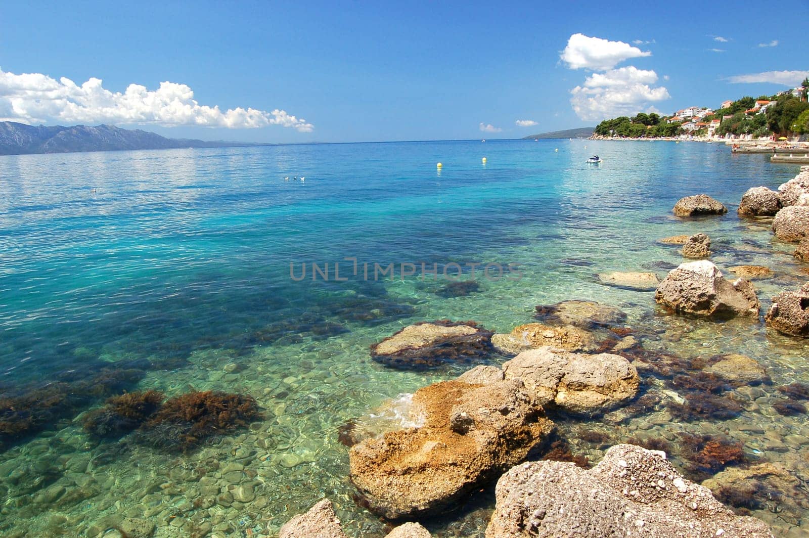 dalmatian rocky beach