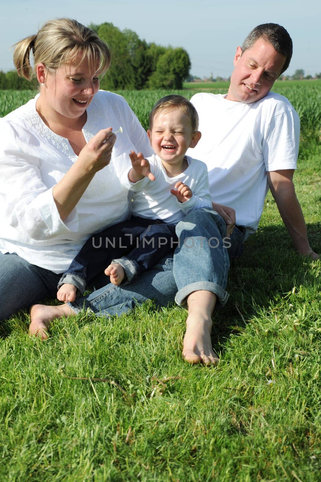 Cheerful parents and toddler on a meadow