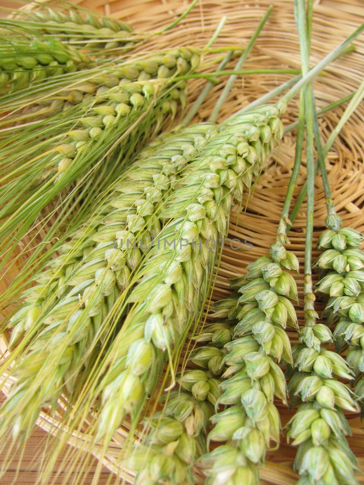 Rye,barley and wheat in a basket