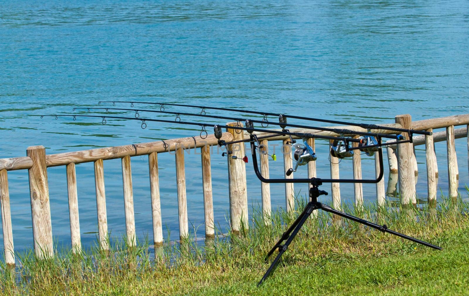Carpfishing session in the Lake