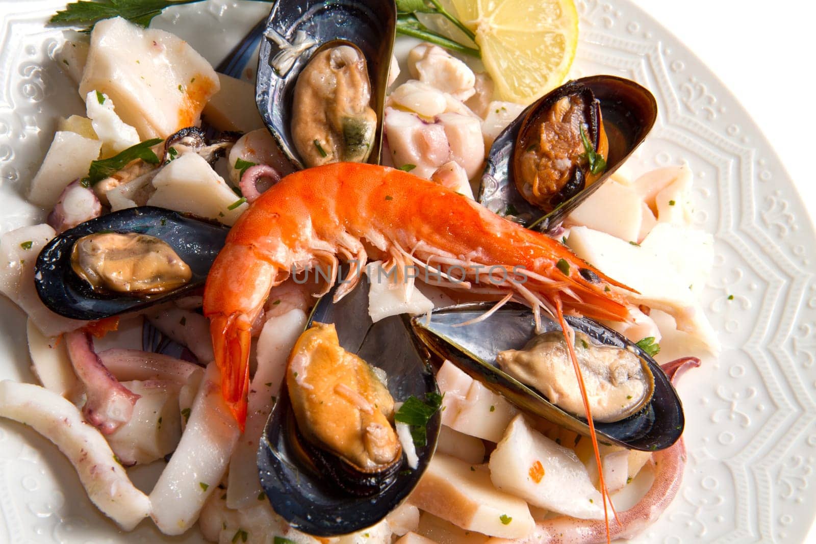seafood salad on white background