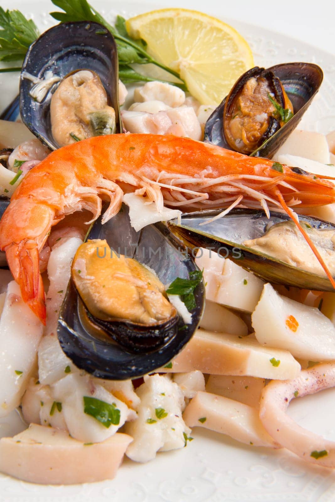 seafood salad on white background