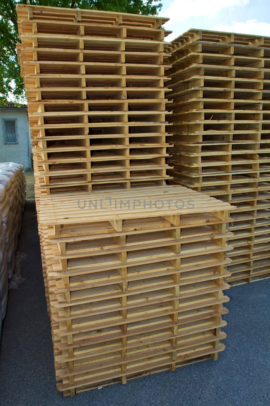 wood pallet