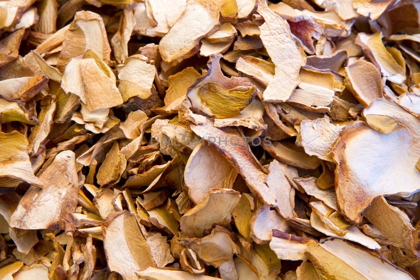 mushroom dried background