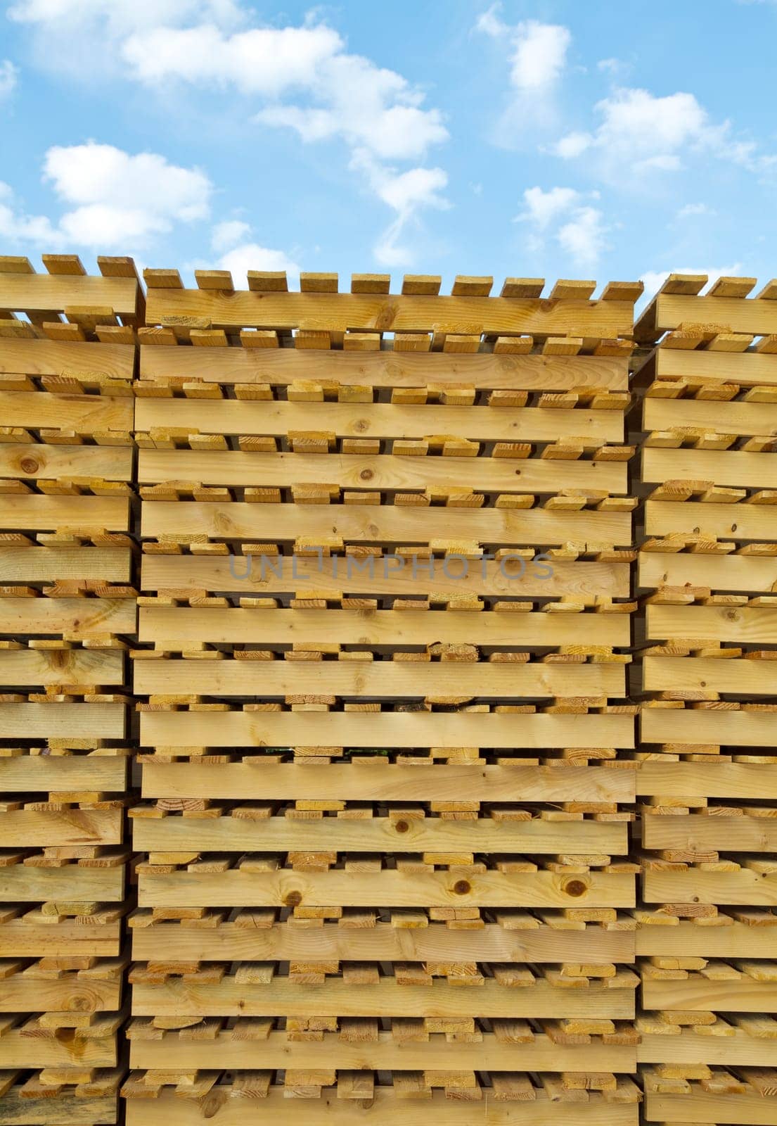 wood pallet