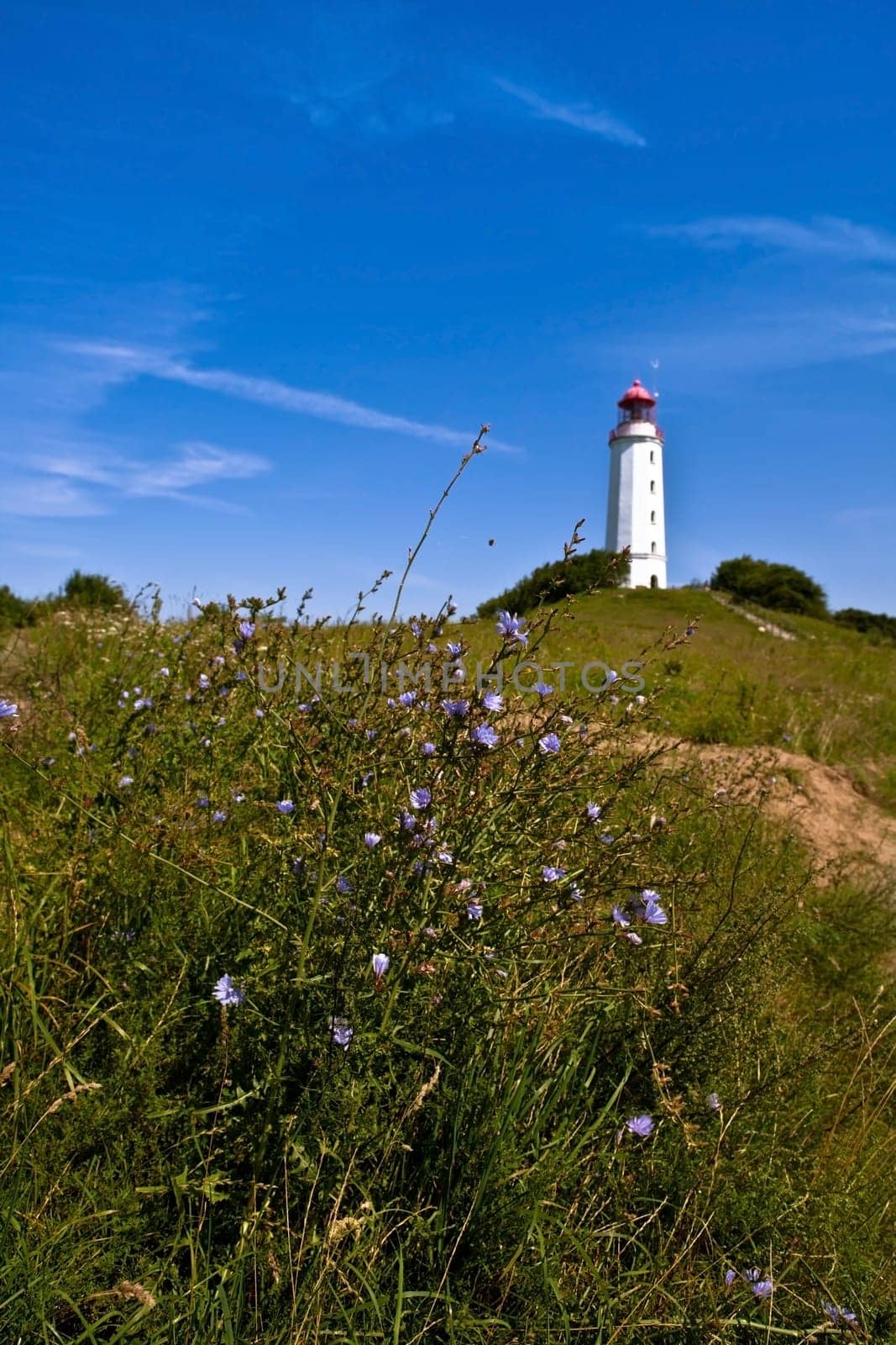 Hiddensee