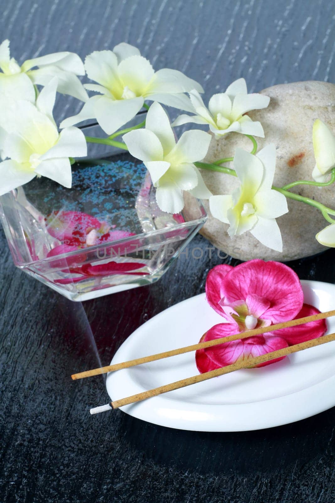 Wellness and spa concept