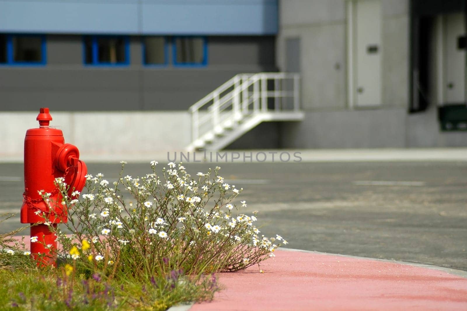 A fire hydrant close to a office or industrial building to represent safety and protection in the workplace