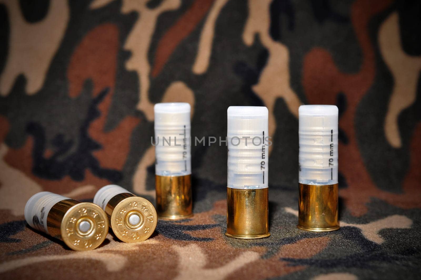 Shotgun shells, used for hunting, layed on a camouflage background