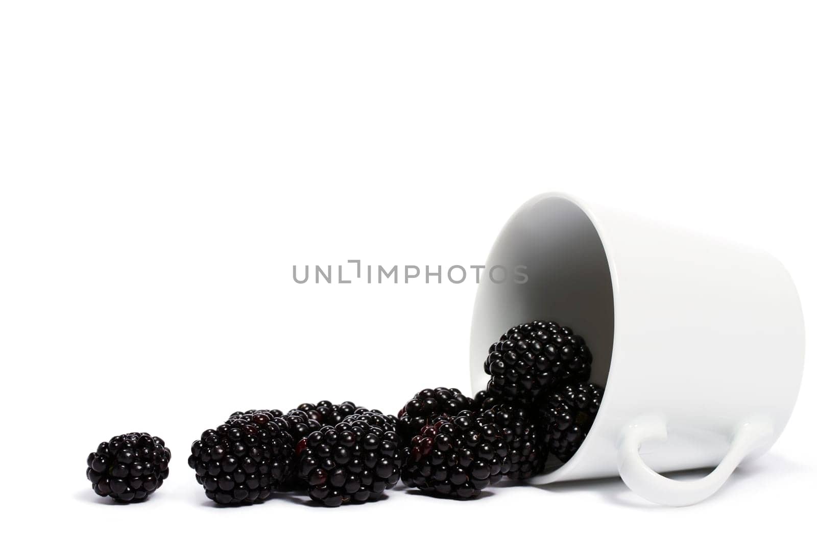 Blackberries rolling from overturned cup on white background