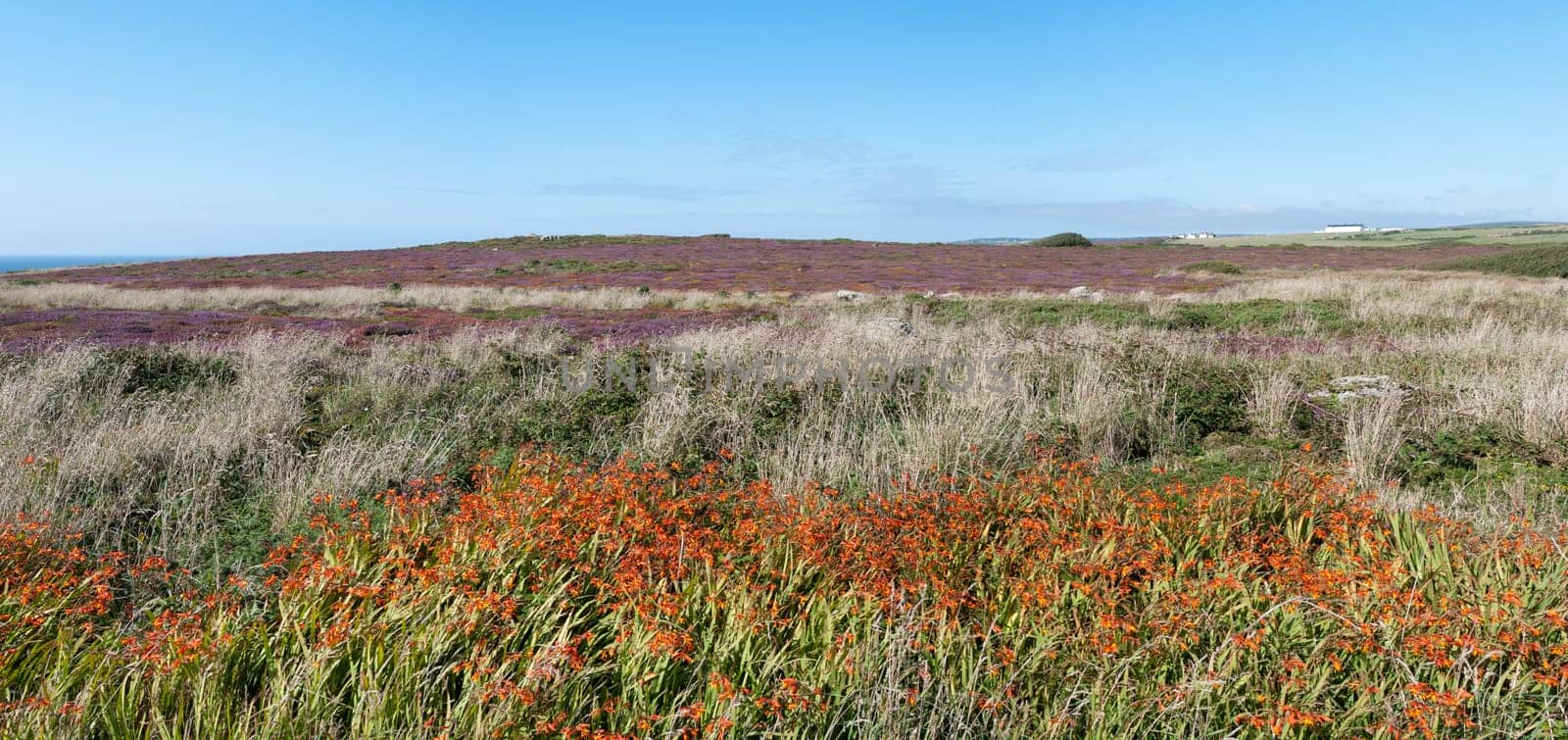 Overview of the landscape at Lands End in Cornwall